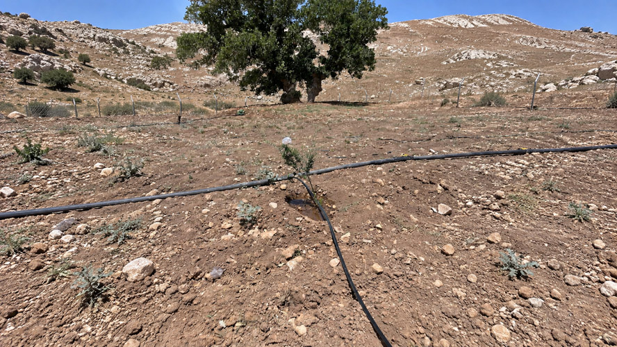 Orbit Global irrigation project