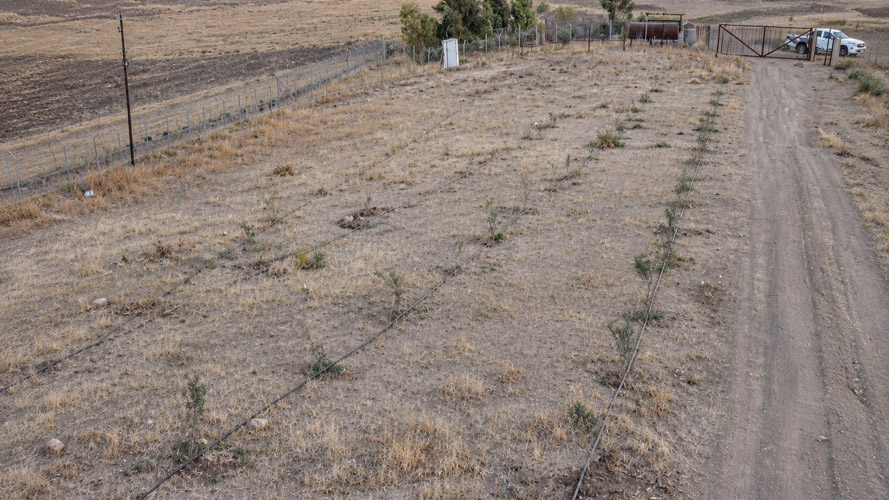 Orbit Global irrigation project