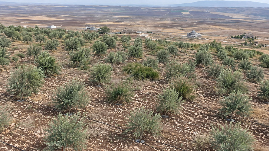 Orbit Global irrigation project