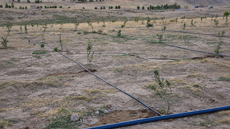Orbit Global irrigation project