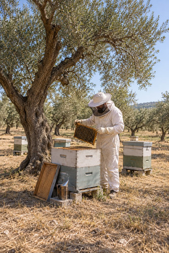 Orbit Global honey project