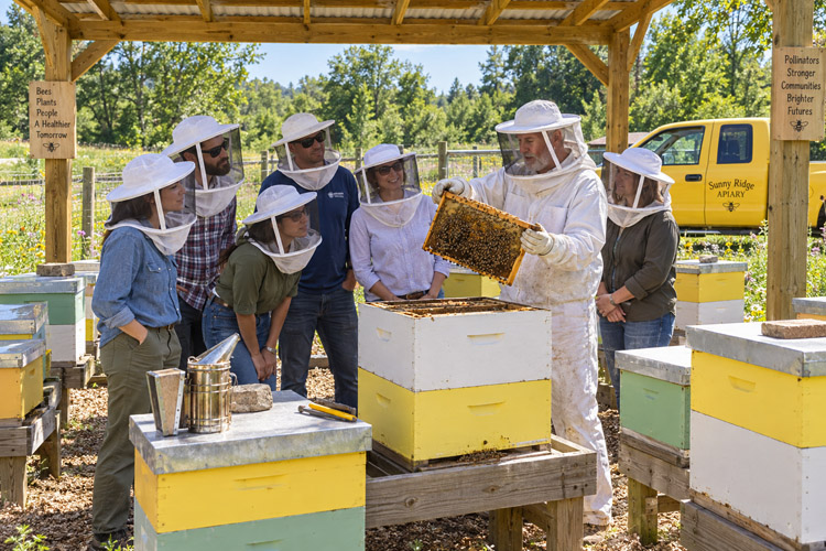 Orbit Global honey project