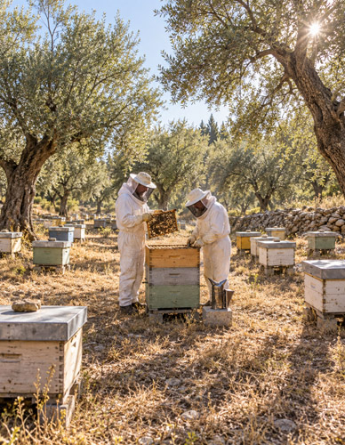 Orbit Global honey project