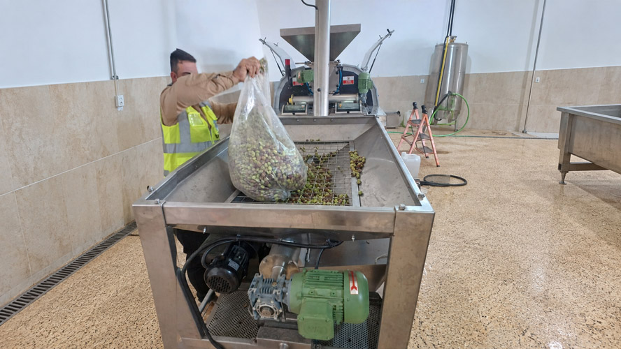 Orbit Global olive project