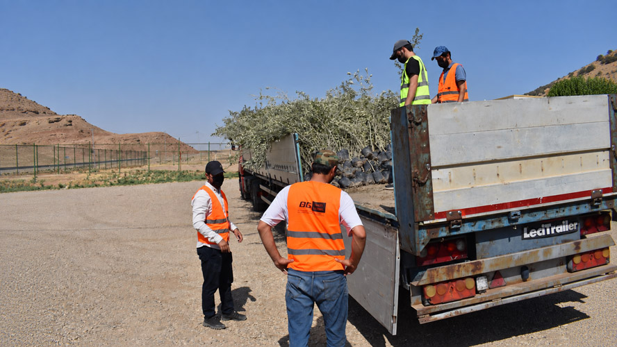Orbit Global olive project