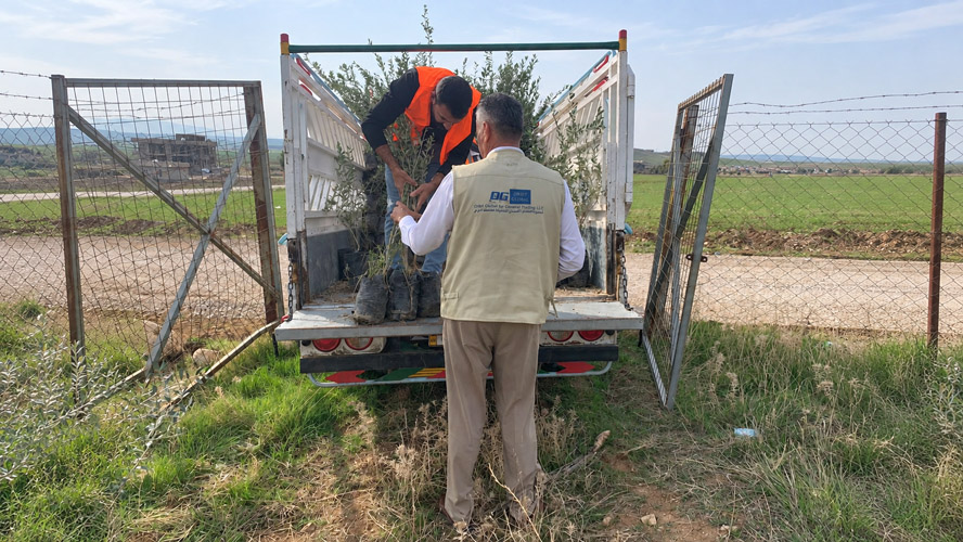 Orbit Global olive project