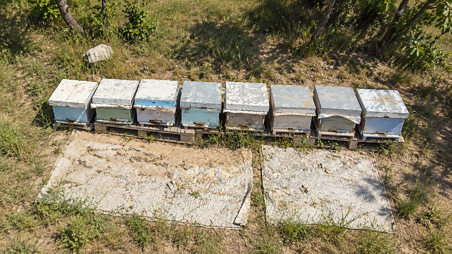 Honey Apiaries Improvement Program project image 7