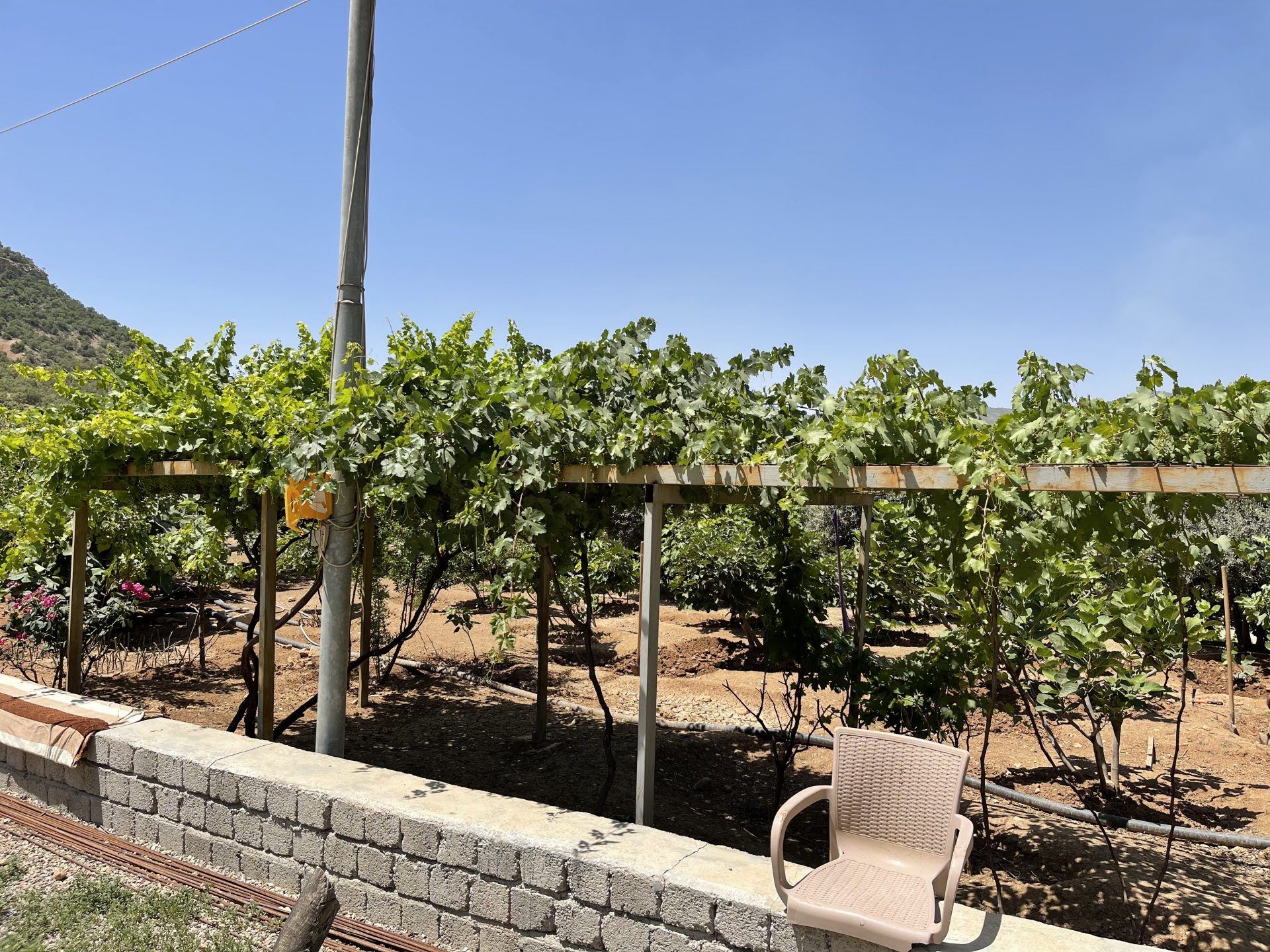Horticulture Development Program project image 6
