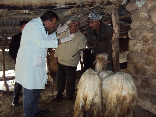 Livestock Improvement Program