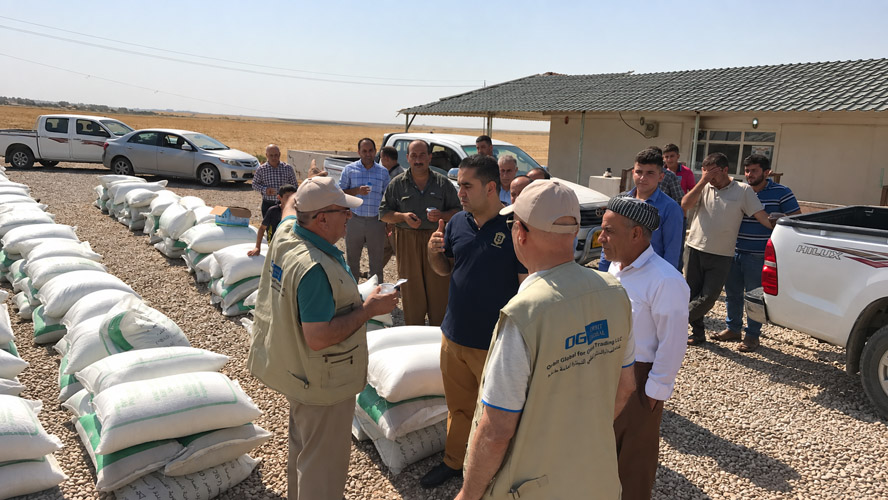 Wheat Improvement Program - Image 1